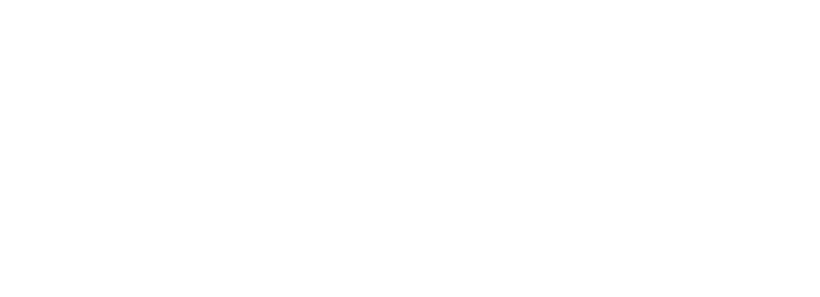 Flottly logó